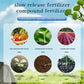 Fertilizzante Organico a Rilascio Lento Universale per Giardinaggio Domestico (22 pezzi)