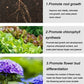 Fertilizzante Organico a Rilascio Lento Universale per Giardinaggio Domestico (22 pezzi)