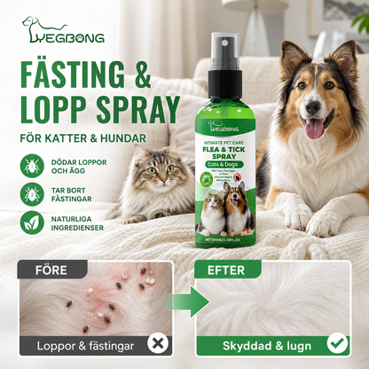 🍃Naturligt spray mot loppor och fästingar för hundar och katter🐾 Håll ditt älskade husdjur fritt från skadedjur