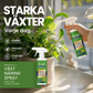 🌱 50 % RABATT NU! – Ge dina växter ny kraft med flytande gödning för frodiga och gröna växter