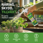 🌱 50 % RABATT NU! – Ge dina växter ny kraft med flytande gödning för frodiga och gröna växter