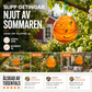 🛒 50% RABATT NU! 🐝 Eco Getingfälla Utomhus – Miljövänlig & Effektiv Fångst – Perfekt för Trädgård, Hus, Balkong & Utomhusområde 🌱
