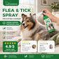 🍃Naturligt spray mot loppor och fästingar för hundar och katter🐾 Håll ditt älskade husdjur fritt från skadedjur