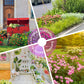 🌺 Färgstark fröblandning för vildblommor för alla årstider