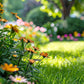 🌺 Färgstark fröblandning för vildblommor för alla årstider