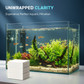 🐠 Akvarieklargörande ark – Klart vatten på 24h | KÖP 1 FÅ 1 GRATIS! ✨