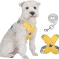 X-ram inget dragande hundsele med koppelset