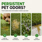 🛒50% RABATT NU! 🐾Skumrengöring för konstgräs för husdjur – Tar bort urinskalor, dålig lukt och smuts från din konstgräsmatta ✨