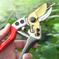 🔥50% RABATT NU! ✂️Grenklippare – skarp & stark för trädgårdens grenar ✨