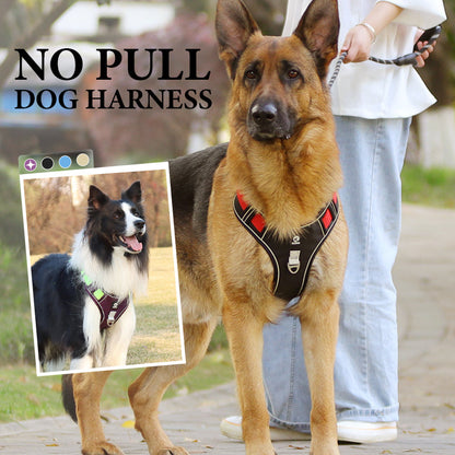 🔥50% RABATT NU! Dragfri hundsele med koppel & LED-halsband, mjukt nylon för nattpromenader 🐕🌙✨✅💥