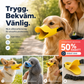 🛒 50% RABATT NU! 🐕 Söt anknäbb‑silikonmuzzle för hund – Skyd dig och dina lurviga vänner, mjuk & bekväm 😊